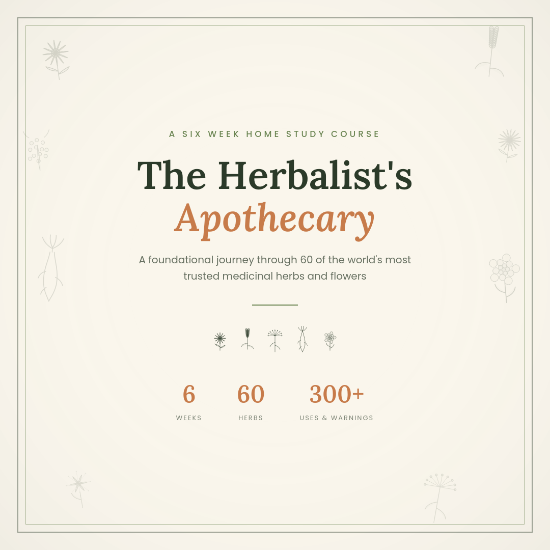 The Herbalist's Apothecary PDF cover